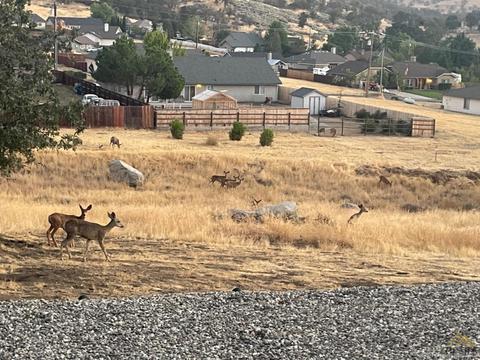 17741 Bold Venture Dr, Tehachapi, CA 93561 photo 7