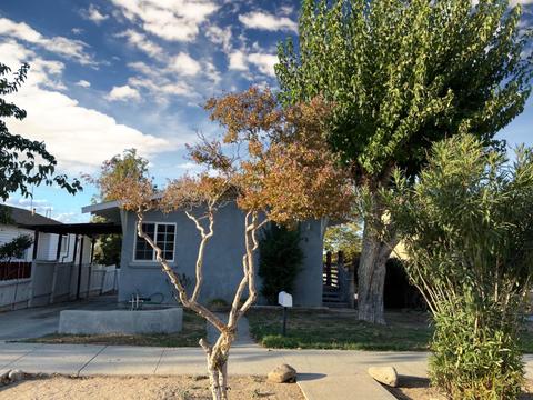 426 Philippine St, Taft, CA 93268 photo 1