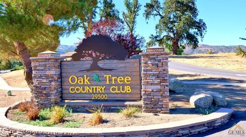26861 Owl Ct, Tehachapi, CA 93561 photo 28