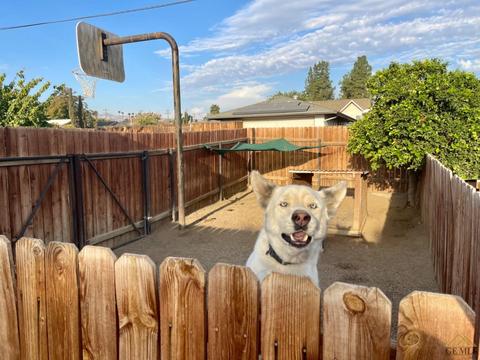 200 Calvin St, Taft, CA 93268 photo 25