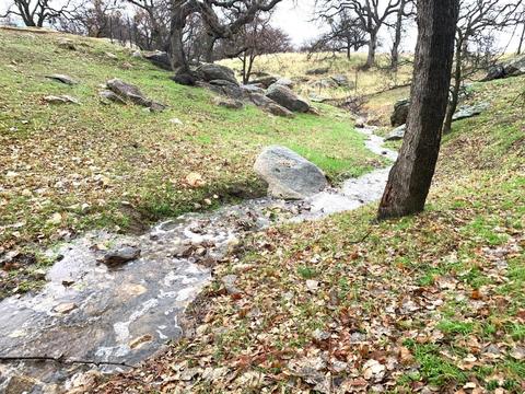 21204 Prospect Ave, Tehachapi, CA 93561 photo 56