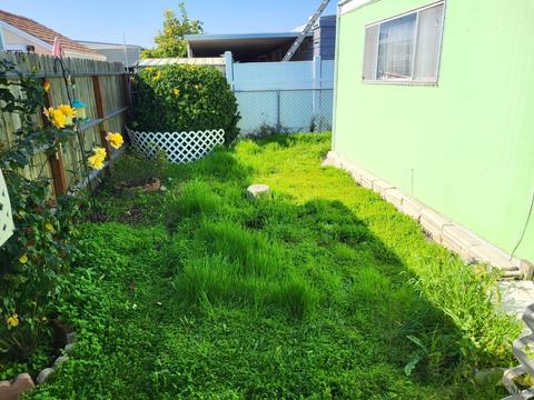 4205 Sabal Ct, Bakersfield, CA 93301 photo 4