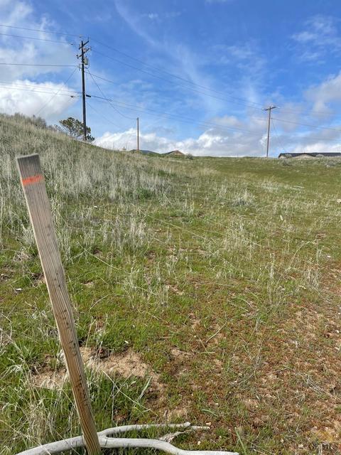 20104 Sears Dr, Tehachapi, CA 93561 photo 9