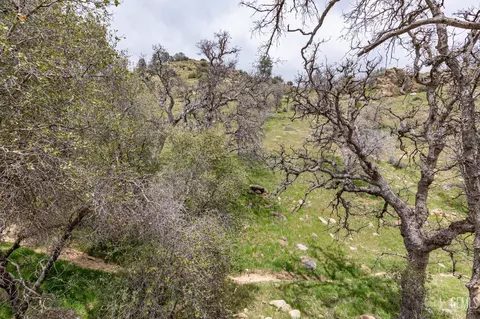21905 Mountain Dr, Tehachapi, CA 93561 photo 29