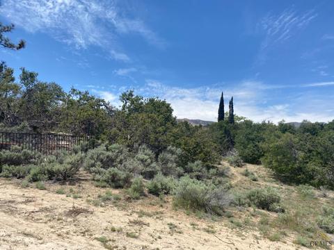 541 Rancho Rd, Pinon Hills, CA 92372 photo 26