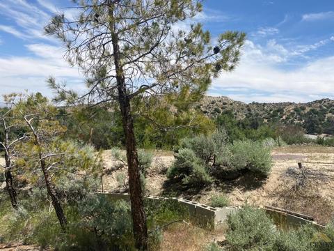 541 Rancho Rd, Pinon Hills, CA 92372 photo 15