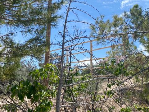 541 Rancho Rd, Pinon Hills, CA 92372 photo 21