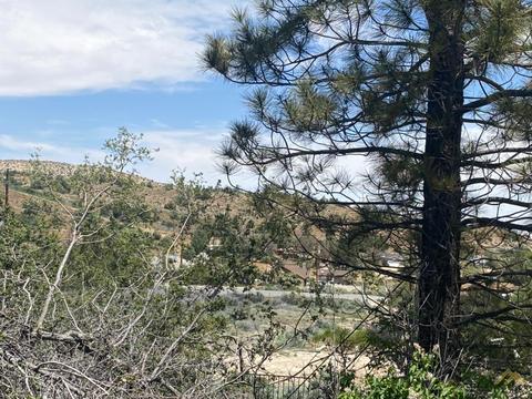 541 Rancho Rd, Pinon Hills, CA 92372 photo 23