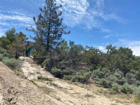 541 Rancho Rd, Pinon Hills, CA 92372 photo 27