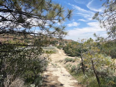 541 Rancho Rd, Pinon Hills, CA 92372 photo 14
