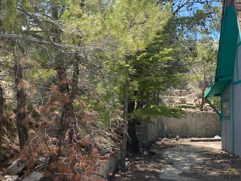 541 Rancho Rd, Pinon Hills, CA 92372 photo 24