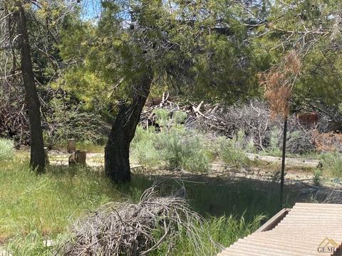 541 Rancho Rd, Pinon Hills, CA 92372 photo 20