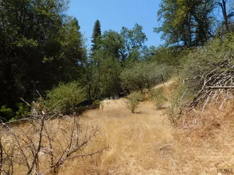 44204 Old Stage Rd, Posey, CA 93260 photo 49