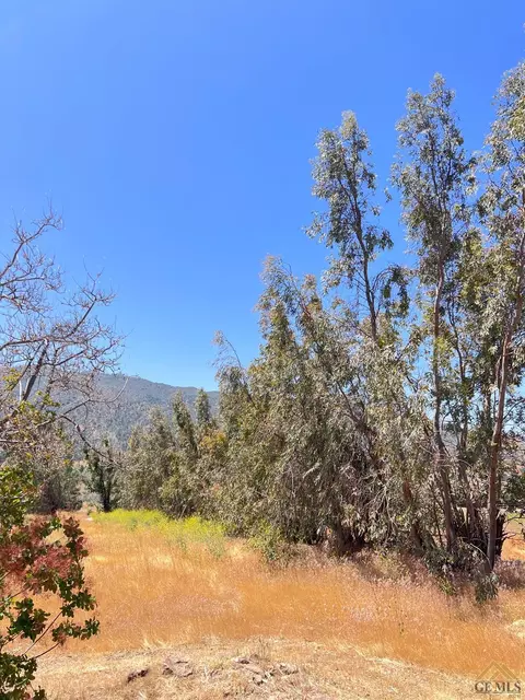 40567 Valley View Rd, Caliente, CA 93518 photo 43