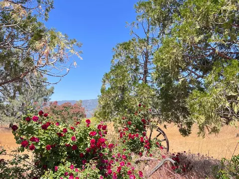 40567 Valley View Rd, Caliente, CA 93518 photo 46