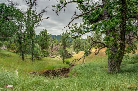 43954 Old Stage Rd, Posey, CA 93260 photo 72