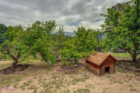 43954 Old Stage Rd, Posey, CA 93260 photo 73
