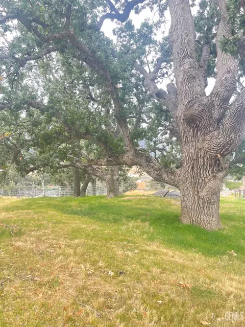 24171 Martingale Way, Tehachapi, CA 93561 photo 32