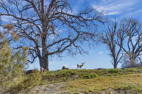 29601 Rollingoak Dr, Tehachapi, CA 93561 photo 38