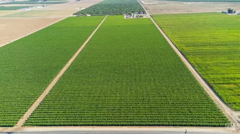 0 Beech Ave, Shafter, CA 93263 photo 8