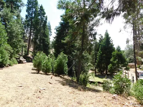 45966 Devils Den Blvd, Posey, CA 93260 photo 4