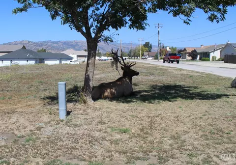 17820 Hambletonian Dr, Tehachapi, CA 93561 photo 29