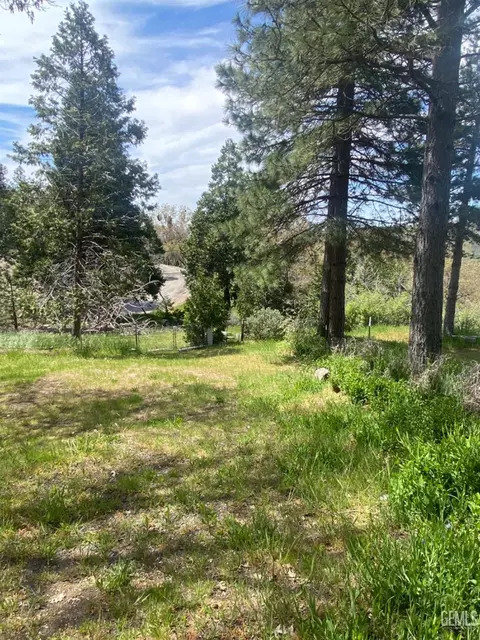 Exterior - 45790 Carlin Dr, Posey, CA 93260 photo 7 of 7
