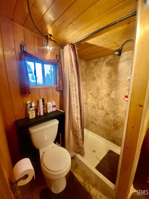 Bath - 45790 Carlin Dr, Posey, CA 93260 photo 1 of 3