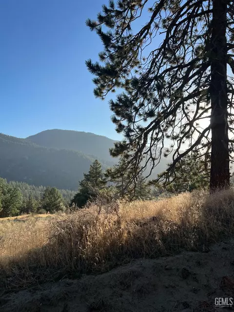 16300 Jungfrau Way, Tehachapi, CA 93561 photo 1