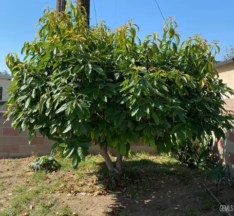 201 Trinity Ave, Bakersfield, CA 93307 photo 42