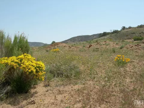9703 Pine Grove Dr, Tehachapi, CA 93561 photo 10