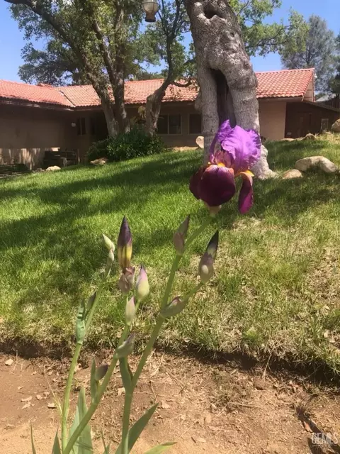 21316 Carriage Dr, Tehachapi, CA 93561 photo 2