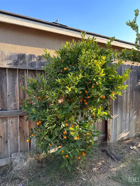 6810 Trejo Dr, Bakersfield, CA 93313 photo 39