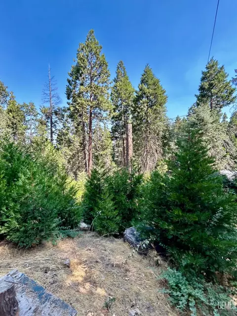 47555 Sugarloaf, Posey, CA 93260 photo 42