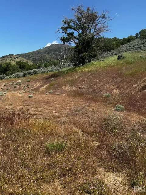 27400 Buckpasser Dr, Tehachapi, CA 93561 photo 9