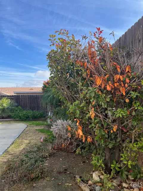104 James Ave, Taft, CA 93268 photo 41