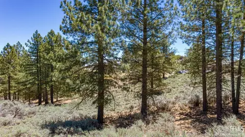 27181 Stirrup Way, Tehachapi, CA 93561 photo 6