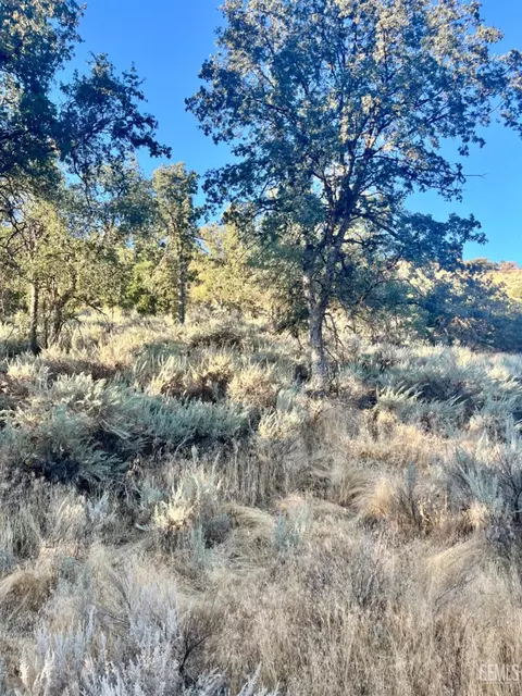 0 Alps Dr, Tehachapi, CA 93561 photo 3