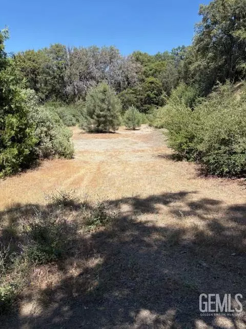 44969 Sugarloaf Dr, Posey, CA 93260 photo 10