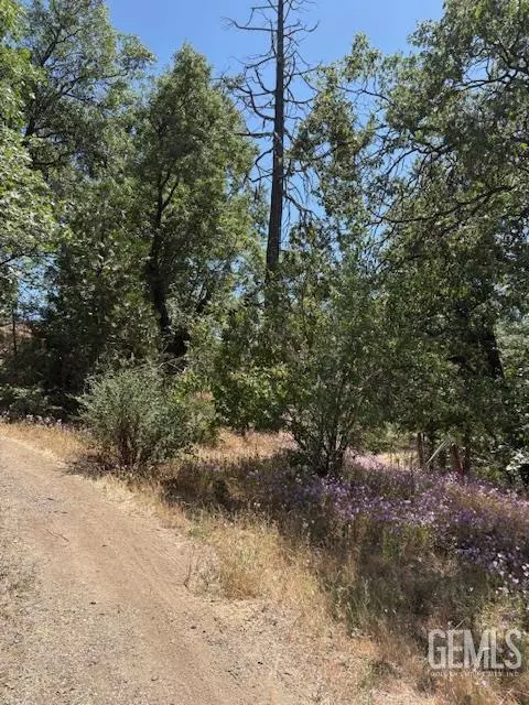44969 Sugarloaf Dr, Posey, CA 93260 photo 9
