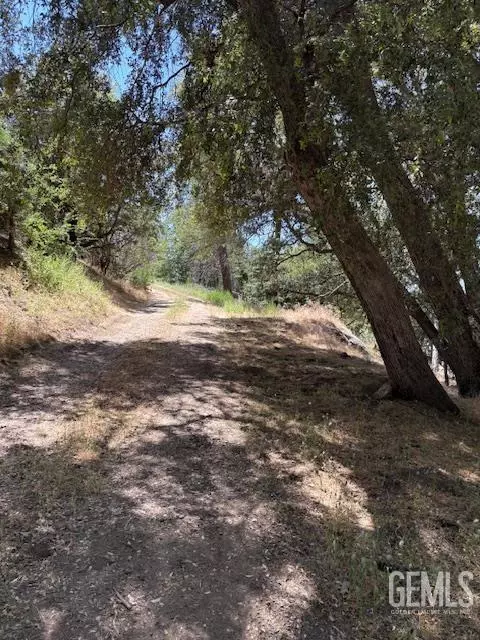44969 Sugarloaf Dr, Posey, CA 93260 photo 8