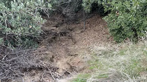 0 Pine Springs Rd, Caliente, CA 93518 photo 37