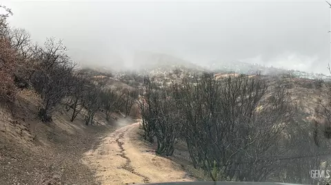 0 Pine Springs Rd, Caliente, CA 93518 photo 6