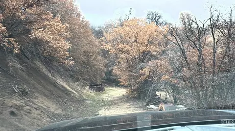 0 Pine Springs Rd, Caliente, CA 93518 photo 7