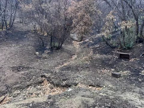 0 Pine Springs Rd, Caliente, CA 93518 photo 19