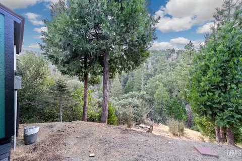 45941 Ridge Rd, Posey, CA 93260 photo 42