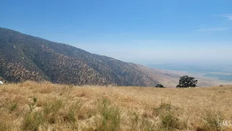 29501 Deertrail Dr, Tehachapi, CA 93561 photo 5