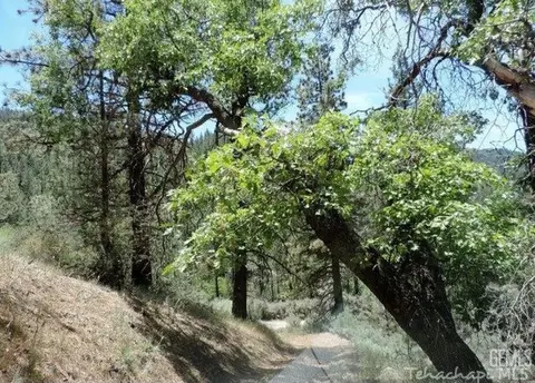 16530 Mountain Climber Way, Tehachapi, CA 93561 photo 12