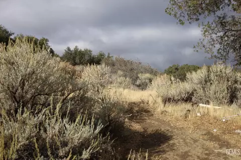 17401 Mountain Climber Way, Tehachapi, CA 93561 photo 14