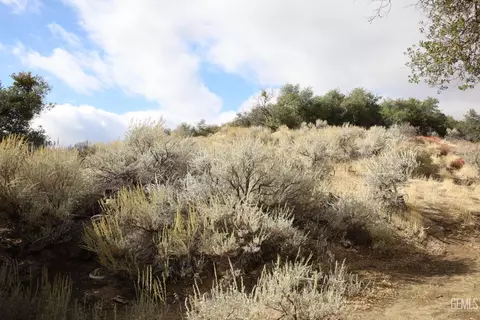 17401 Mountain Climber Way, Tehachapi, CA 93561 photo 15